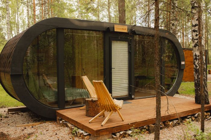 Лесотерапия