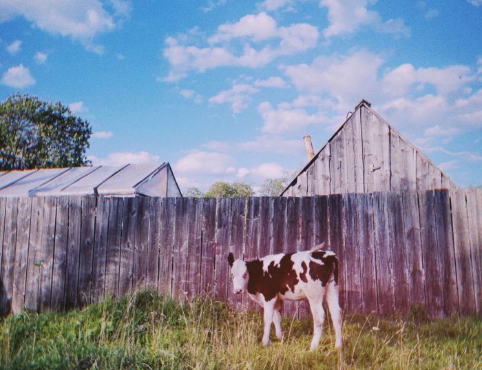 Малый Турыш