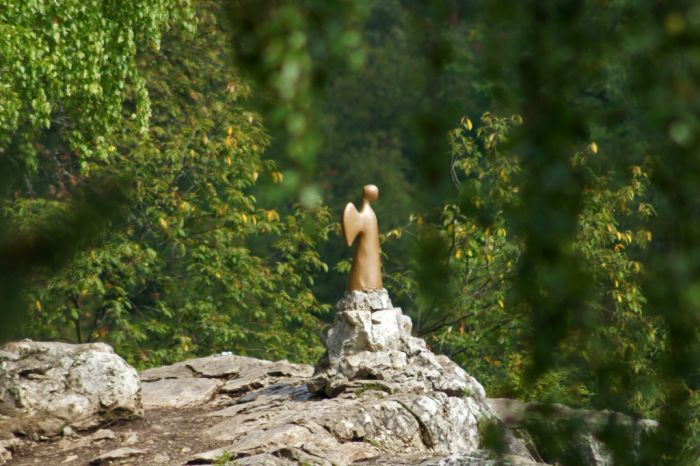 Лесные сказки